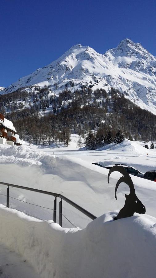 Maloja Kulm Hotel エクステリア 写真